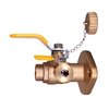 Everflow SWT Full Port Ball Valve with Cleanout and Flange, Brass 1-1/4" 895C114